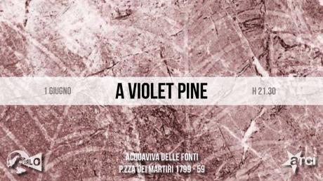 A Violet Pine Live!