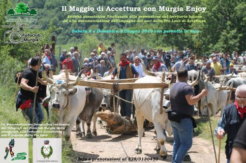 Il Maggio di Accettura con Murgia Enjoy