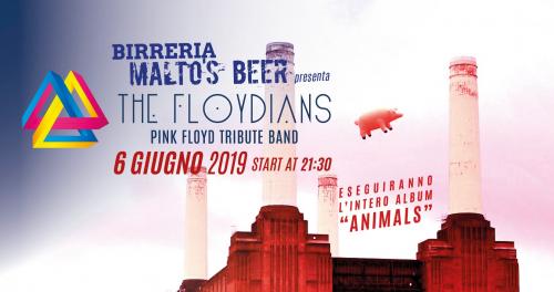 The Floydians - Pink Floyd Tribute Band at Malto's Beer