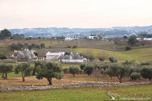 Escursione con cena lungo i sentieri dell’acquedotto da Masseria Cantone