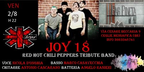 Joy 18 Red Hot Chili Peppers tribute band live @Pineta Bar