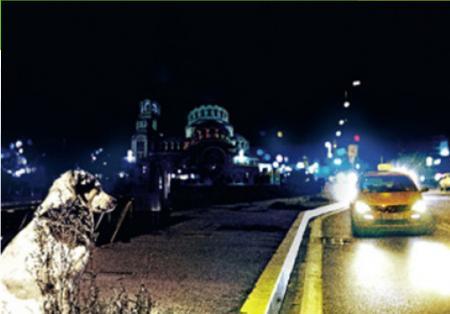 Direction - Tutto in una notte a Sofia