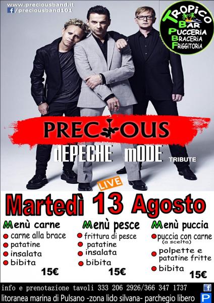 PRECIOUS - Depeche Mode tribute band