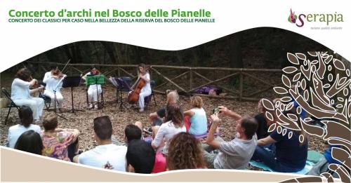 Concerto d'archi nel Bosco delle Pianelle