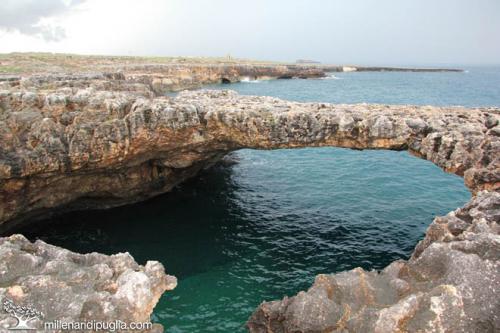 Escursione: i tesori della costa di Polignano