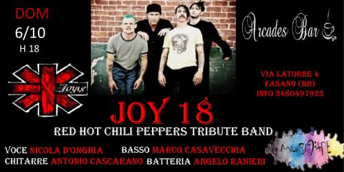 Joy 18 Red Hot Chili Peppers tribute band live @ Arcades bar