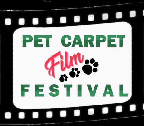 Alla Casa del Cinema arriva il primo festival degli animali, PET CARPET FILM FESTIVAL