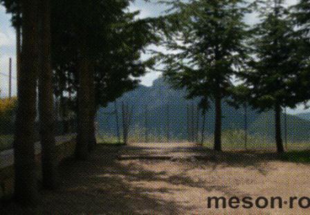 Inaugurazione del giardino di comunità a Campomaggiore