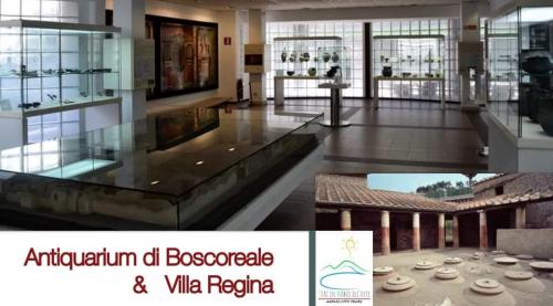 Visita Guidata : Villa Regina & Antiquarium di Boscoreale