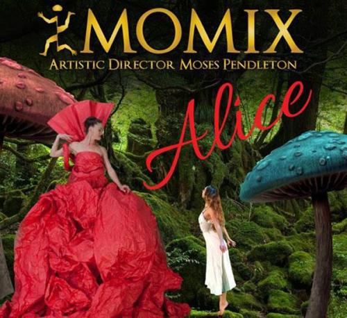 Momix - Alice