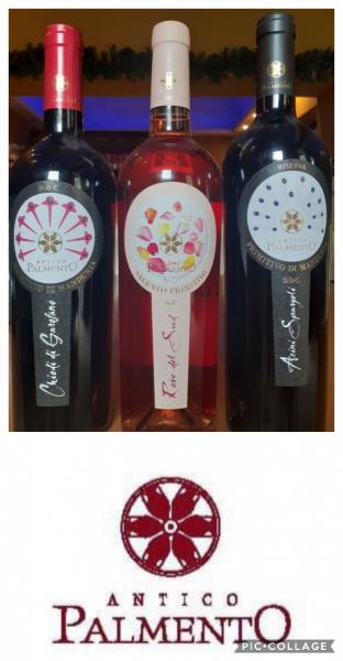 Aspettando San Martino. Degustazione dei vini di Antico Palmento.