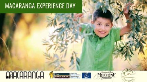 Macaranga Experience Day - la Raccolta Delle Olive