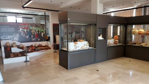 Visita al Museo e al Parco Archeologico di Egnazia con Tomba delle Melagrane