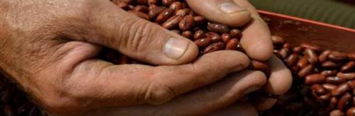 Slow Beans. Mostra mercato nazionale dei legumi