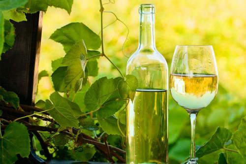 ENOGASTRONOMIA - La sorpresa dei vini bianchi di Puglia e Basilicata