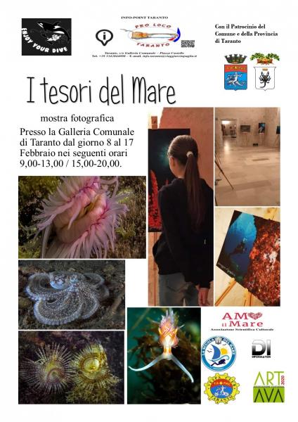 I Tesori del Mare