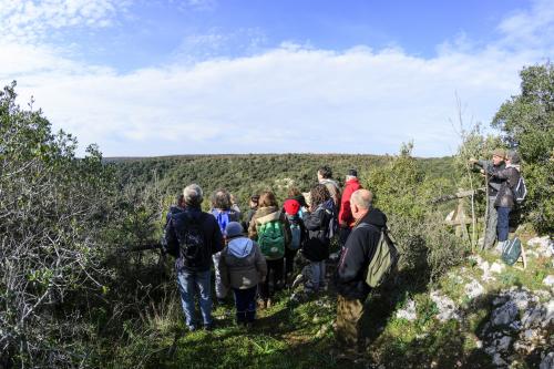 L'incantevole Bosco delle Pianelle
