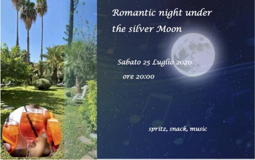 Romantic night under the silver moon