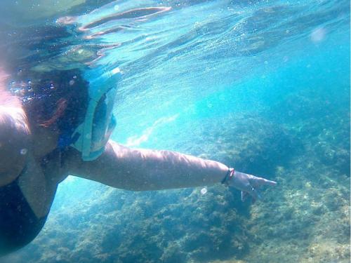 Snorkeling, scopriamo i fondali del nostro mare