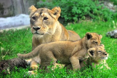 Promozione speciale estate