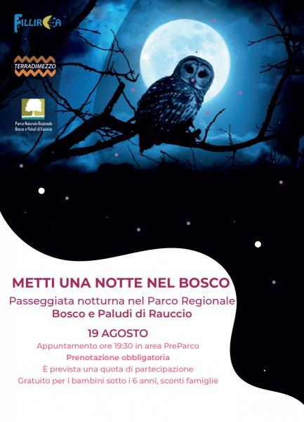 Metti una notte nel Bosco