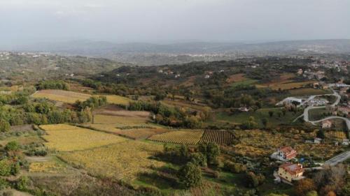 Wine Trekking e Passeggiate a Cavallo in Irpinia