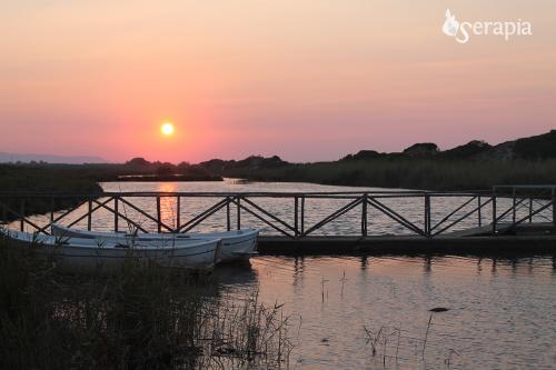 Al tramonto nel Parco Dune Costiere