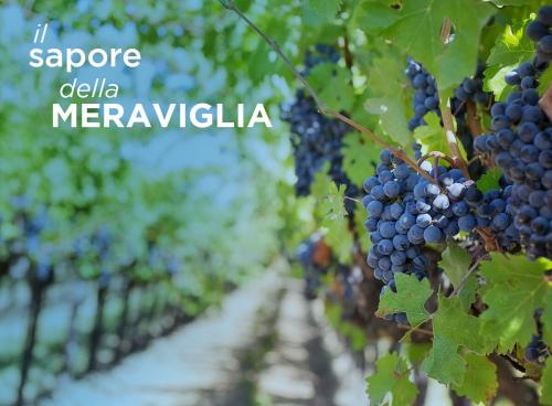 ProEstate 2020 - Wine Tour Experience