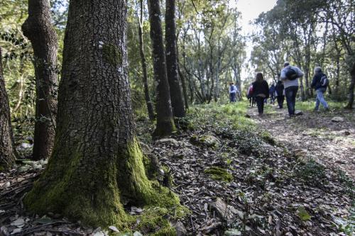 Caccia al tesoro nel bosco!