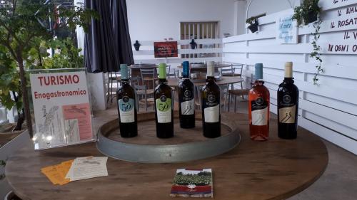 I vitigni autoctoni della Valle d'Itria.