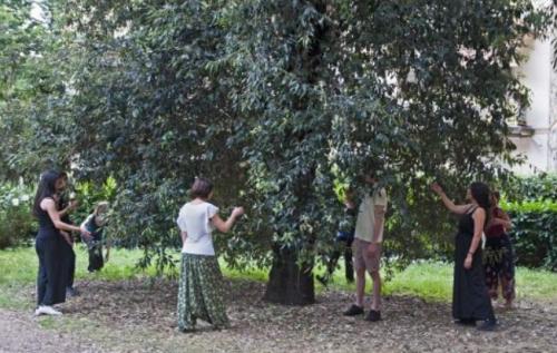 La tattilità delle chiome