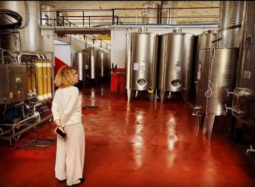 Tour in Cantina...