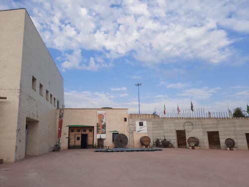 MIRVITA PER "CANTINE APERTE IN VENDEMMIA"