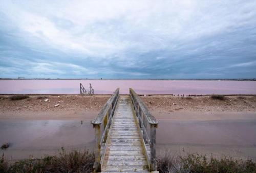 A-Head Art Project presenta “Circuiti”