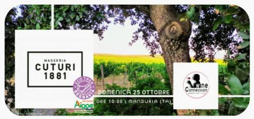 Cuturi Wine Trekking Experience