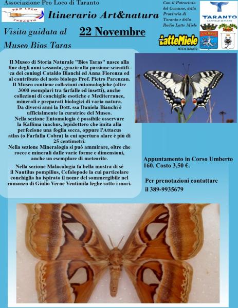 Visita guidata al Museo Bios Taras