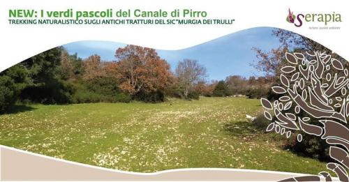 Sui verdi pascoli del Canale di Pirro