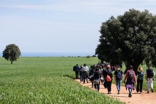 Tra gli olivi monumentali e i pascoli del Parco Dune Costiere