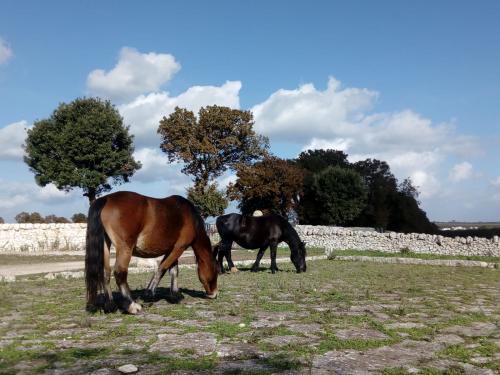 Trekking tra boschi e masserie