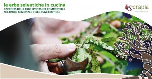 Le erbe selvatiche in cucina