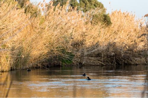 GAL TERRE DEL PRIMITIVO: TURISMO DI QUALITA’