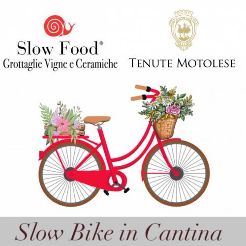 Slow Bike in Cantina