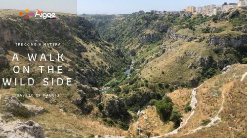 A walk on the wild side - Trekking a Matera