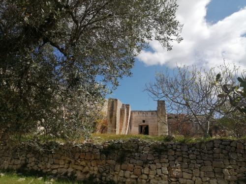 Di Cava in Cava