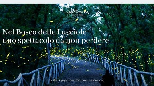 Nel Bosco delle Lucciole, uno spettacolo da non perdere