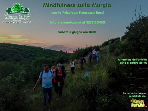 Mindfulness sulla Murgia