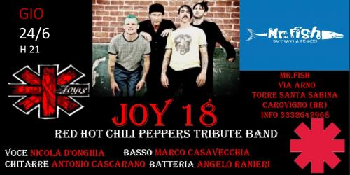 Joy 18 Red hot chili peppers tribute band live @ Mr Fish