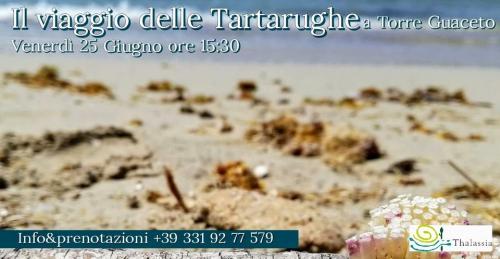 Il Viaggio delle Tartarughe - Percorso sul mare