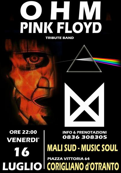 OHM PINK FLOYD