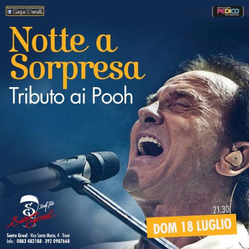 Notte a Sorpresa - Tributo ai Pooh a Trani